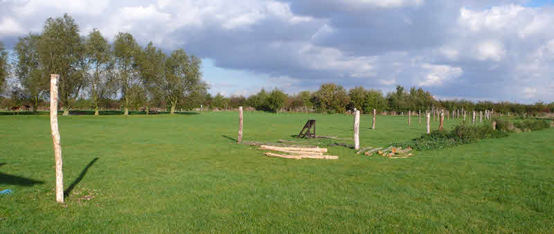 Flag Fen alignment